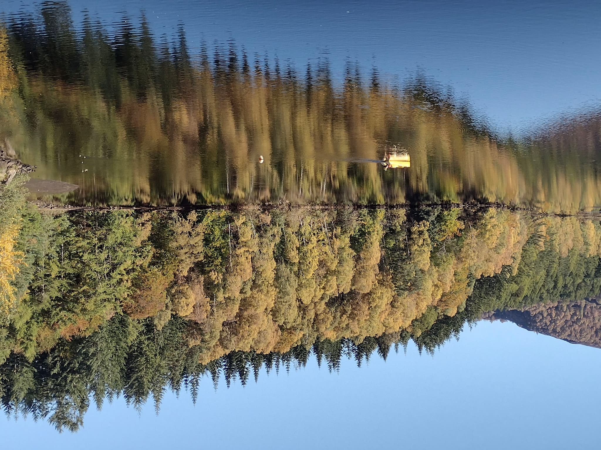 Loch Faskally Inverted