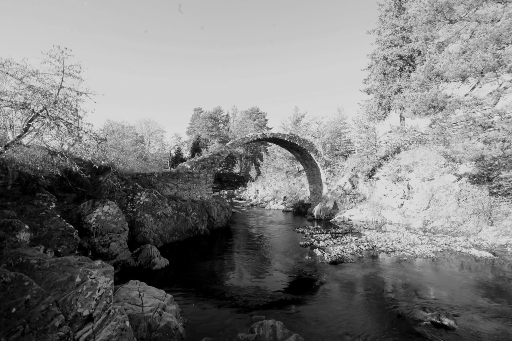 Carrbridge Black and White